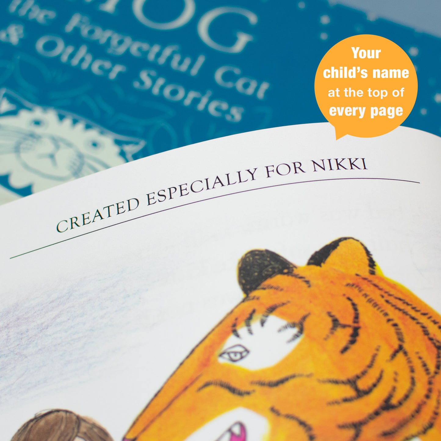 Personalised Mog the Forgetful Cat Collection Book