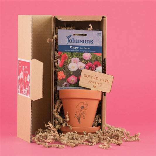 Sow in Love Valentine's Seed Box Gift Set