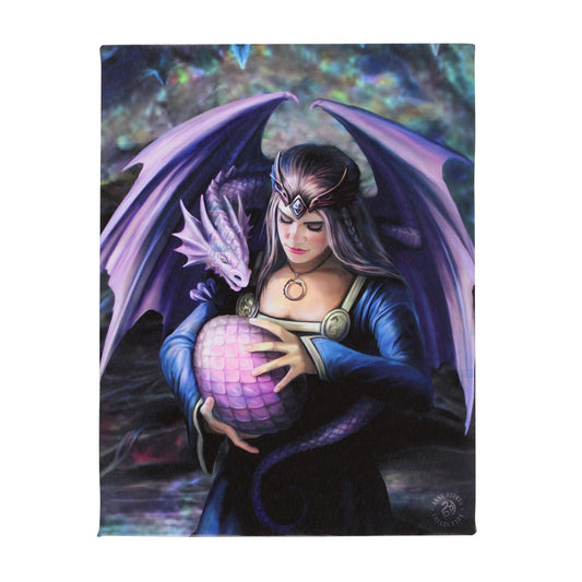 19x25cm Siblings Canvas Plaque by Anne Stokes - PCS Cufflinks & Gifts