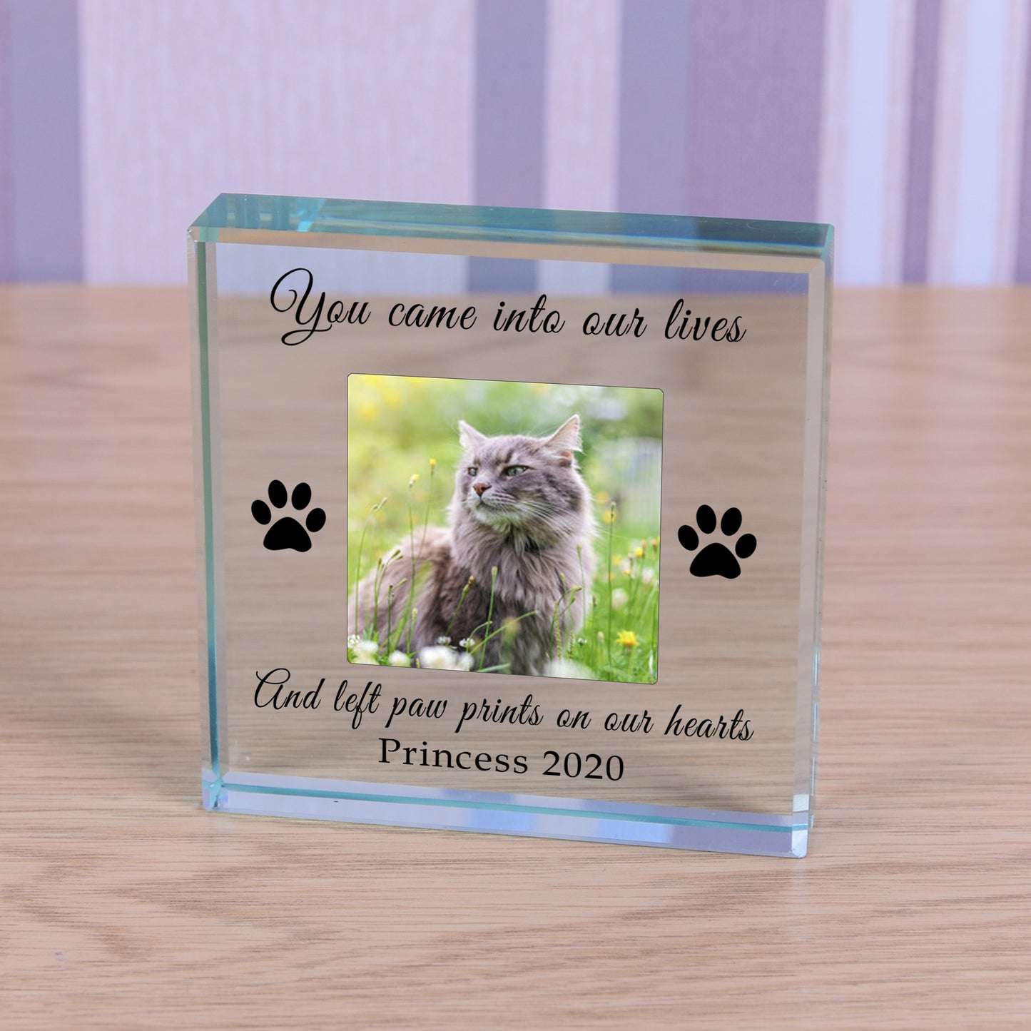 Personalised Photo Pet Memorial Token Keepsake - Paw Prints On Our Hearts