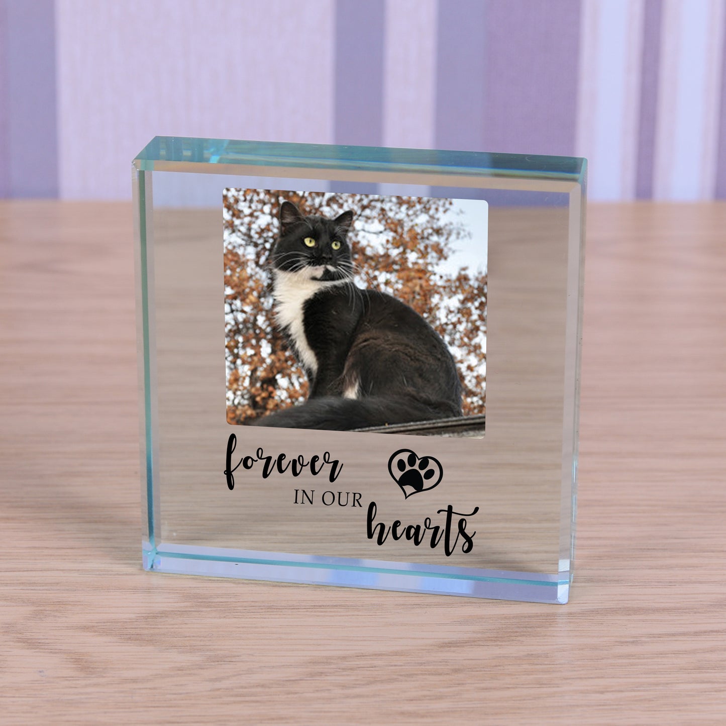 Photo Pet Memorial Ornament - Forever In Our Hearts