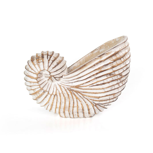 Hand Carved Whitewash Albasia Wood Shell Ornament | Beach Home Decor